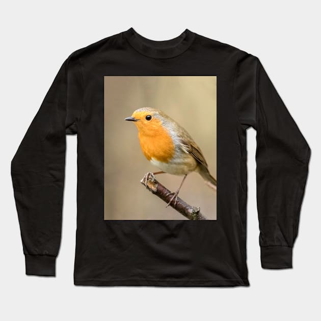 A robin perched in an English garden Long Sleeve T-Shirt by Itsgrimupnorth